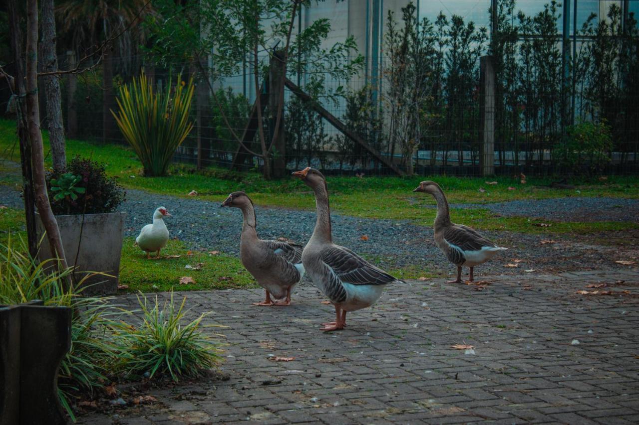Gramado Motorpark Villa Exterior photo